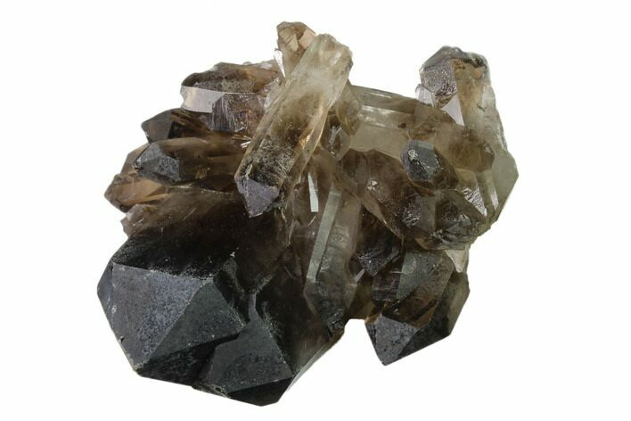 Dark Smoky Quartz Crystal Cluster - Brazil #137828